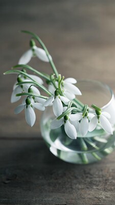 不好意思评价晚了点，多次购买，发货很快，东西收到之后马上查看了，和预想的一样，很合适，舍友已经问了链接。很有耐心的卖家，以后有需要还会回购的。加油，明天会更好