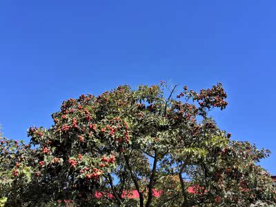 讨论解说荣耀V10和10GT手机那个好，评测细节对比，真相大曝光！
