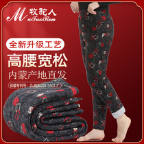 Wool cotton pants womens winter plus velvet padded camel down to wear warm northeast grandmother middle-aged high waist loose mother