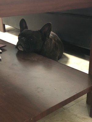 大家放心购买哦大家放心购买哦大家放心购买哦大家放心购买哦大家放心购买哦大家放心购买哦大家放心购买哦大家放心购买哦大家放心购买哦大家放心购买哦大家放心购买哦大家放心购买哦大家放心购买哦大家放心购买哦大家放心购买哦大家放心购买哦大家放心购买哦大家放心购买哦