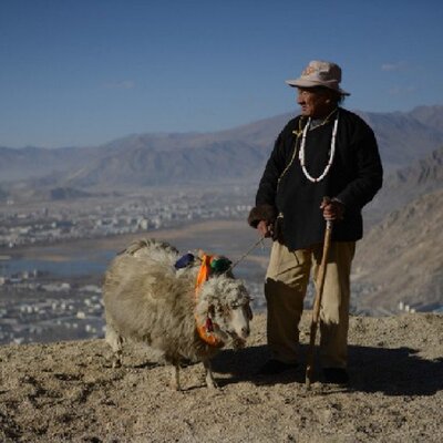 吐槽喜临门床垫怎么样,喜临门床垫质量真的很好吗?