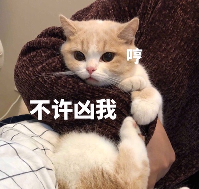 这是一个好评模板，因为本仙女很懒，不想每个产品都写好评，所以特地模仿好友写下这个模板，但是这个产品无论是质量还是外形都是本仙女喜欢的类型，如果不喜欢，仙女收到东西会很生气，然后这个模板就会成为仙女喋喋不休的休书，自然不可能撒下这个好评，给各位淘友一个参考，本产品还是极好