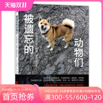 Backwave Genuine Forgotten Animals Disaster Documentary Photo Books Nuclear Leakage Cats Dogs Accompaniment