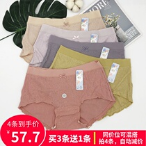 Daisy girl panties new modal cute sweet schoolgirl ins Loli style triangle shorts 29575