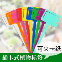 Horticultural label plastic waterproof multi-meat plant plug-in card-type sign floral label sign