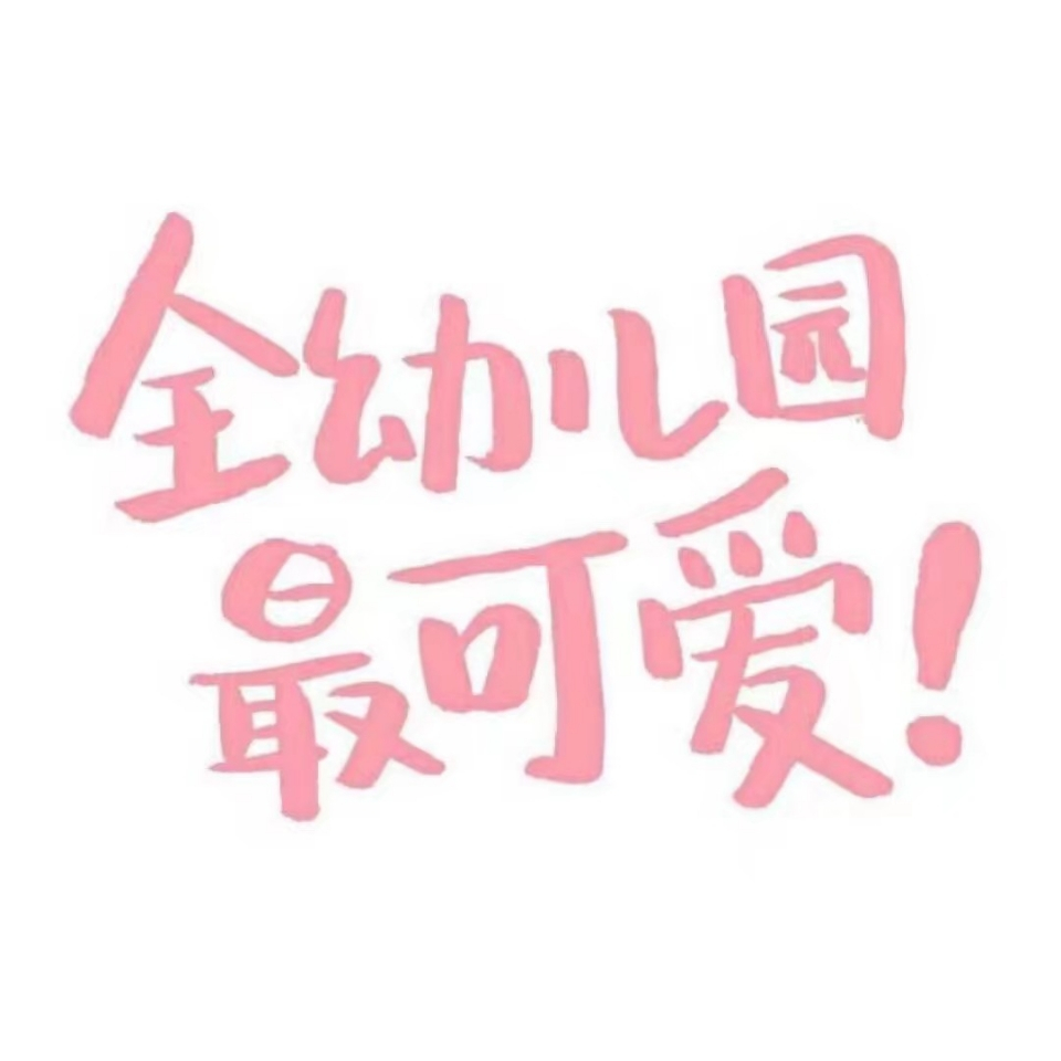 斑马秀丽笔其它功能笔