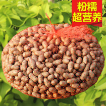 (Regular hair) fresh iron bar yam beans 5kg large nourishing extra large Huashan bean Yam egg sugar gourd