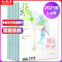 (25 yuan for a total of 19)Fireworks Magazine 2021 1 2 3AB 5B 2020 2AB 3AB 9 10 11 12AB Packaged blue