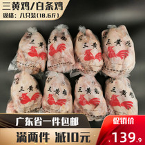 Three yellow chicken whole box 19kg cross leg three yellow chicken chilled white bar chicken fresh whole chicken roast chicken farm chicken