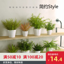 Modern simple simulation plant potted Internet cafe bar Living room partition flower box Fake flower simulation flower set decorative floral art