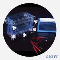 SEEDS Purity of Double-plate Sandwich Vertical Electrophoresis Protein Gel Electrophoresis in Beijing DYCZ-30C on June 1