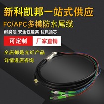 Shinco Kaibang 4-core single-mode outdoor optical cable Waterproof tail cable for radio and television Armored waterproof connector fiber optic jumper