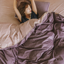 Coral Velvet Four Piece Short Plullish Nordic Bed Good Flat Fallenvelt Winter