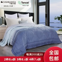Casablanca Tencel Air Conditioner Summer Quilt 3M Lyocell Tencel Summer Cool Quilt Antibacterial anti-mite Washable Air Conditioner Quilt