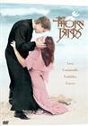 DVD edition Thorn Bird] Sequel Missed Time]4-disc bilingual]