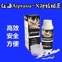 Red Sea RedSea RedSea sunflower high efficiency sea water special anemone star suit Aiptasia-X60ML