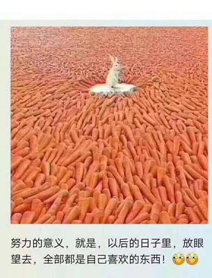 一波三折&hellip;&hellip;码偏大，像我平常要穿M码的这个穿S还大&hellip;&hellip;胸太漏，用暗扣了。但是没穿，打算瘦下来再穿，里面穿打底裤也能看见大腿啊&hellip;&hellip;一波三折&hellip;&hellip;码偏大，像我平常要穿M码的这个穿S还大&hellip;&hellip;胸太漏，用暗扣了。但是没穿，打算瘦下来再穿，里面穿打底裤也能看见大腿啊&hellip;&hellip;