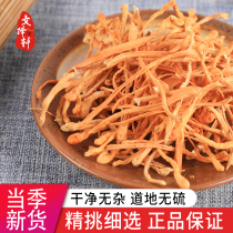 Chinese herbal medicine Cordyceps flower spore head Cordyceps militaris Cordyceps militaris Golden Cordyceps nourishing dry goods 50g
