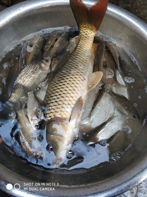 目前看来特别关注客友鱼竿怎么样,这个是哪里的牌子的?杂牌吗