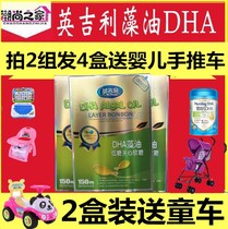English DHA Algal Oil Brain nutrition Algal oil Childrens walnut Oil Low sugar type sandwich gummy pills 30 tablets