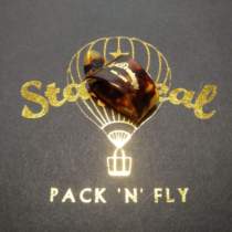 Japanese-made Aria Aria electric wood folk guitar bass pick non-slip sound string color hand feeling tortoise shell finger cover