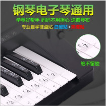 88 88 key 61 key 54 key transparent five-wire spectrum Jane Specter key sticker piano electronic organ keyboard post with black key sticker
