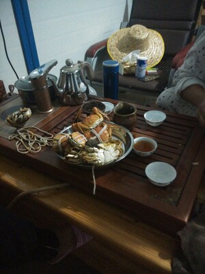 吐槽最新揭秘尚科太阳能灭蚊灯怎么样,效果好不好呢?