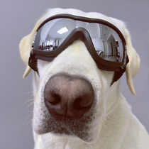 Pet Dog Glasses Protection Face Teddy Take Proceedings Small Medium Large Dog Sunglasses