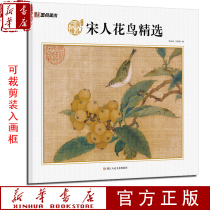 Song Flower Bird Selection Song Draw Finn Projection Collection Decoration Adult First Scholar Country Drawing Entry Fruit Rice Bird Picture Blood Picture Picture Flower Bird Painter Rimming Learning Model Xinhua Bookstore Preclosure