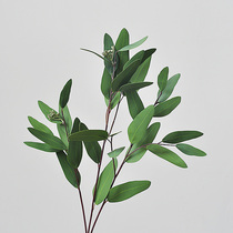 (Nine Thoughts) Simulation of long leaf yugali eucalyptus leaf simulation plant home-like inter-plate decoration F615