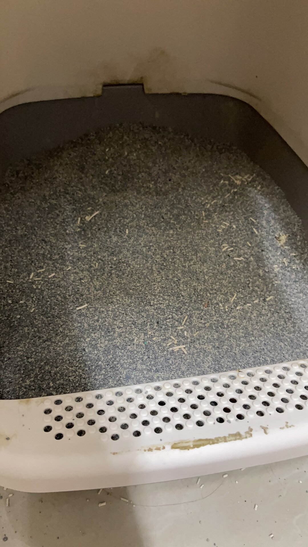 内幕爆料ns星际银河猫砂怎么样呢?质量如何?老鸟吐槽评测