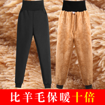 women's autumn winter thick cotton outerwear warm lamb fleece sweatpants loose plus size stiletto sweatpants