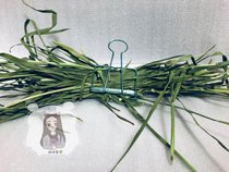 Ball ball sauce metal grass clip clip grass rack urine-proof grass can clip about 10g at a time 95*48mm multi-color