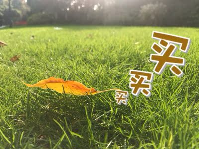 面料柔软舒适透气,款式大方实用,非常适合十几岁的小女生。因为孩子说穿得很舒服,所以趁双十一购物狂欢节活动期间再次购买几年囤货!图片就不方便上传啦。 面料柔软舒适透气,款式大方实用,非常适合十几岁的小女生。因为孩子说穿得很舒服,所以趁双十一购物狂欢节活动期间再次购买几年囤货!图片就不方便上传啦。