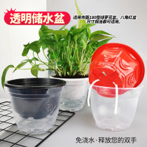 Green dill flower pot automatic absorbent cover pot Plastic fleshy free watering round transparent water storage basin base lazy flower pot