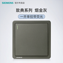 Siemens Switch Panel Classic - Single Control Home Single-Linked 2-3 One Single Control Double-Linked Lamp Switch