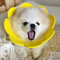 Shame ring Puppy kitty Pets Neck Sleeve Anti-Licking Ring Soft Collar lap headgear Elisabeth Elizabeth Circle