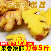 Pure fragrant fruit Yunnan small turmeric Fresh 10kg edible seasoning ginger ginger ginger soil ginger