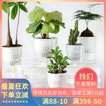 Modern simple lazy flower pot automatic water absorption glass transparent fleshy ceramic pot green dill hydroponic green plant utensils