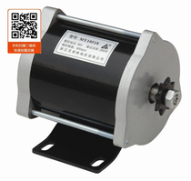 Unite permanent magnet DC brushed low speed motor MY10518 250W36V electric tricycle accessories