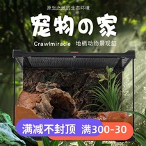 Reptile rainforest tank water and land climbing tortoise Shou Palace lizard horned frog hermit crab spider glass ecological tank