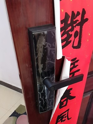 大家真实点评德施曼小嘀智能指纹锁V5P怎么样质量好不好?揭秘