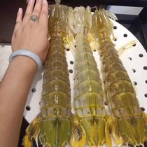 (200-300 grams) (half a catty of 1) Pippa shrimp cooked frozen giant shrimp arms large shrimp with rich shrimps of shrimps