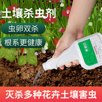 Bright soil insecticide household flower earth green plant small flying insect insecticide flower pot plant pest removal spray pot
