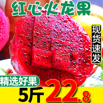 Hainan red heart dragon fruit 5kg fruit fresh season whole box 10 gold first grade Red Meat 3