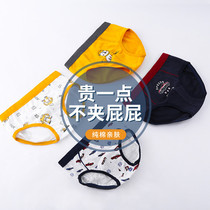 Children Cotton Underpants Boys breifs Modal Boy Baby Tong Cotton Shorts Summer Thin