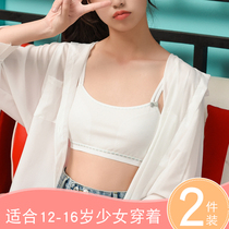Antarctic girl Development bra cotton student underwear high school students summer without steel ring cotton white chest