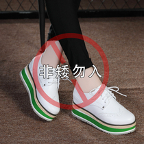 Card Jue Wen thick-soled inner height-increasing womens shoes leather shoes 2020 new spring and autumn British plus suede casual wedge-heel muffin