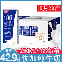 Guangming Youjia pure milk 250ml*12 boxes 24 boxes full box nutrition students childrens breakfast milk gift box