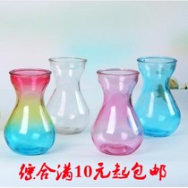 Hyacinth green Dill plastic glass vase fashion thickened color hydroponic flower arrangement bottle special offer